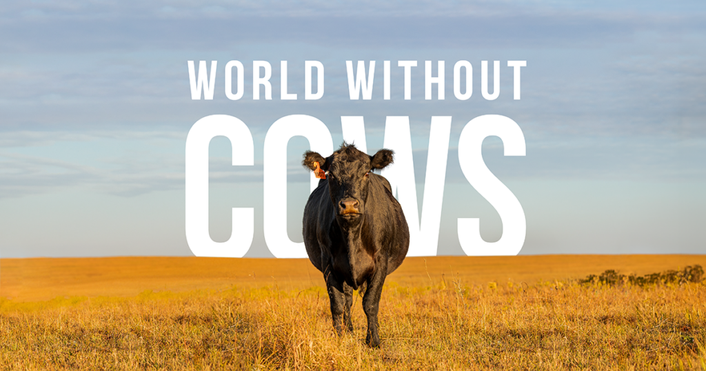 Explore - World Without Cows