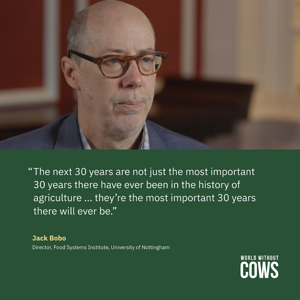 Quote from Jack Bobo, Director, Food Systems Institute, University of Nottingham