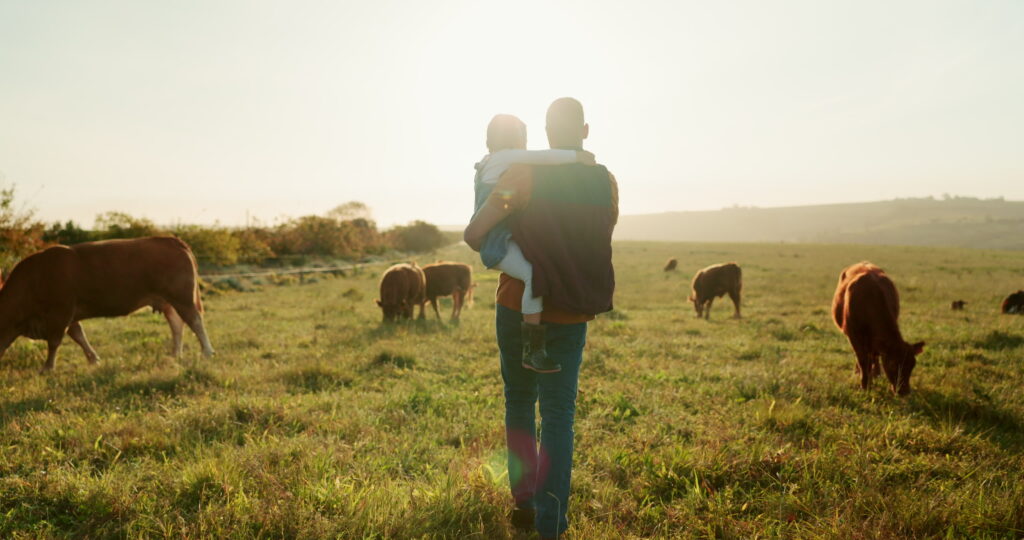 Family, farm and cattle with a girl and father walking on a field or grass meadow in the agricultural industry. Agriculture, sustainability and farming with a man farmer and daughter tending the cows.