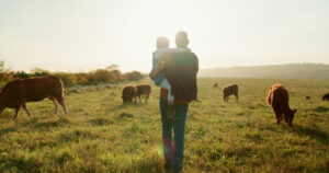 Family, farm and cattle with a girl and father walking on a field or grass meadow in the agricultural industry. Agriculture, sustainability and farming with a man farmer and daughter tending the cows.