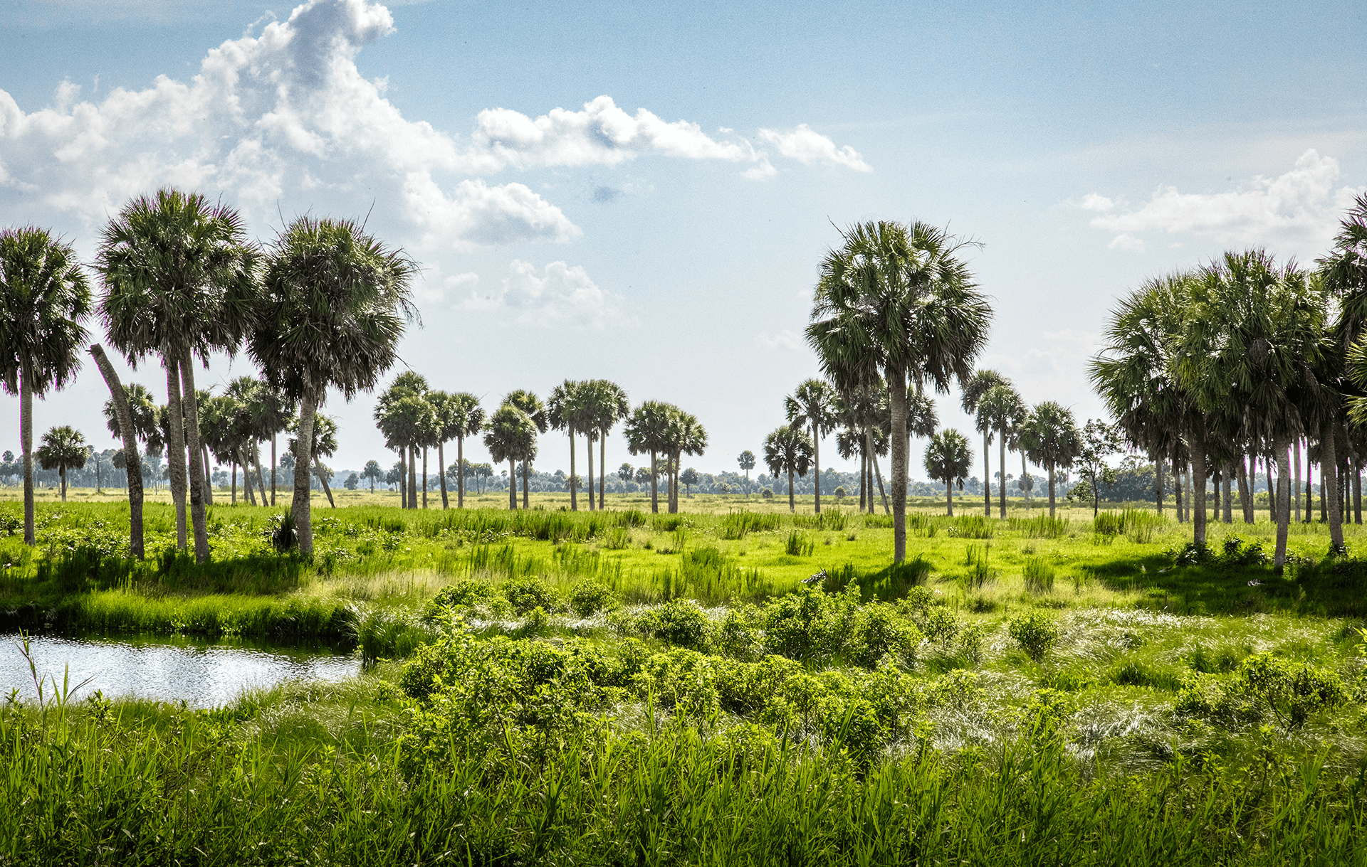 Hero_Buck-Island-Ranch-Florida-Archbold-35