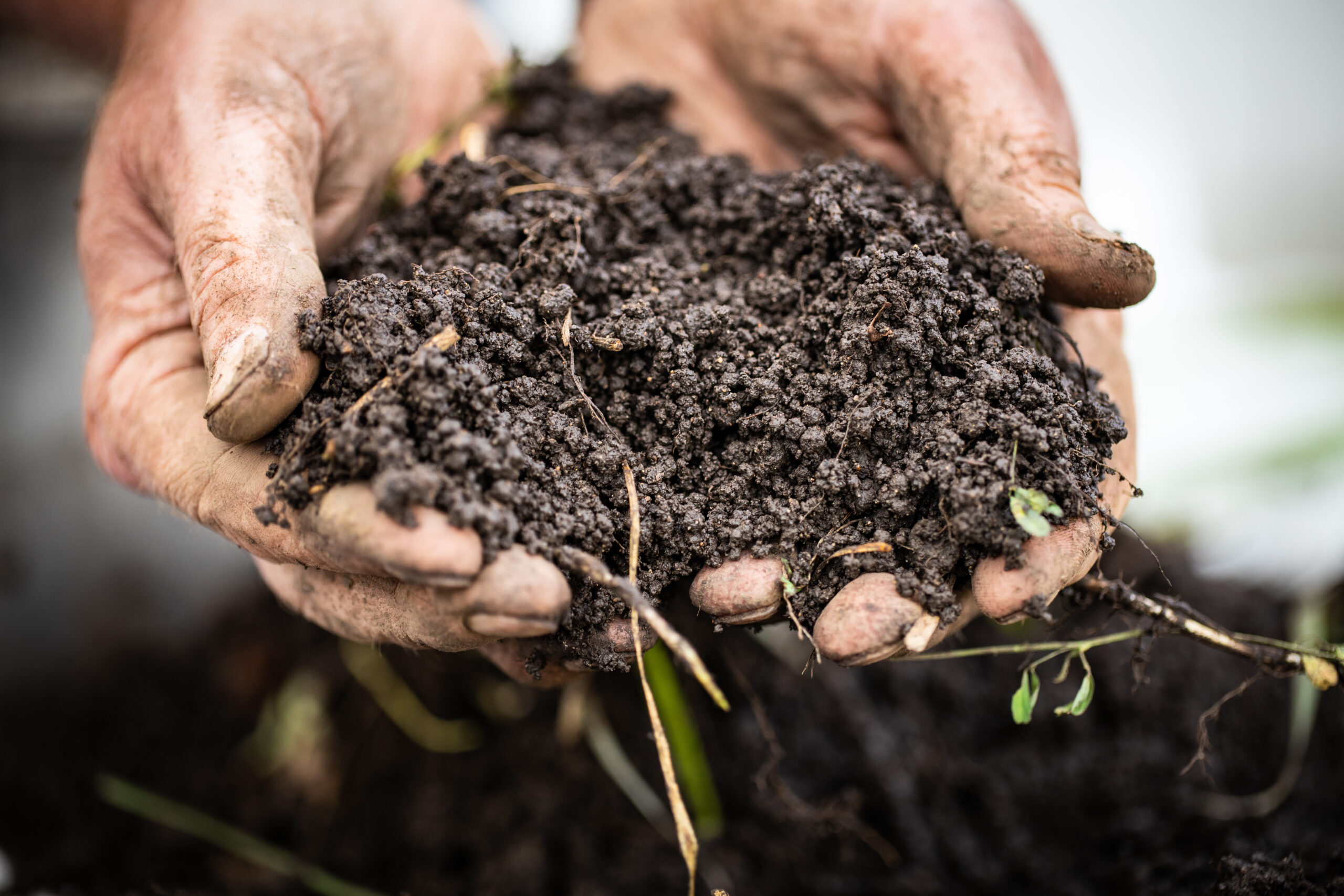 Healthy soil regenerative agriculture