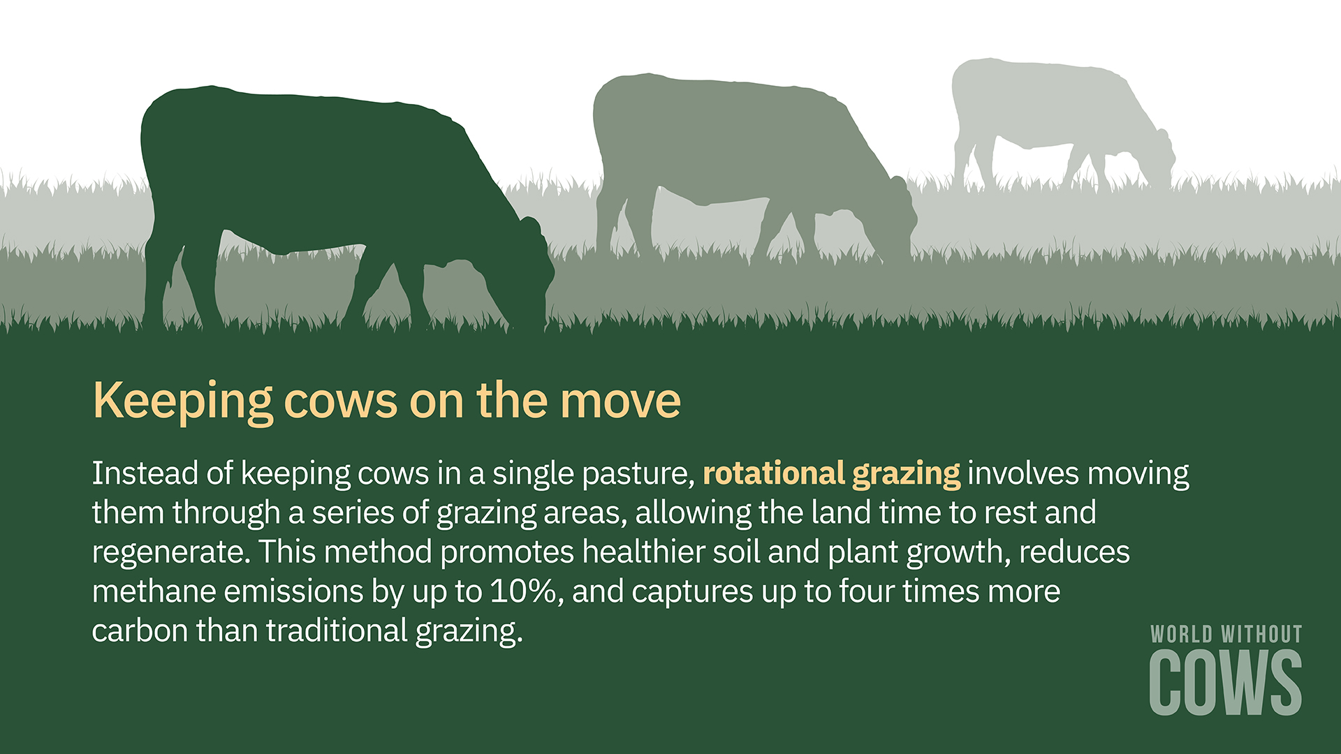 Rotational Grazing 1920x1080 1