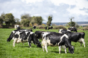 Donoughmore IRE 152 1