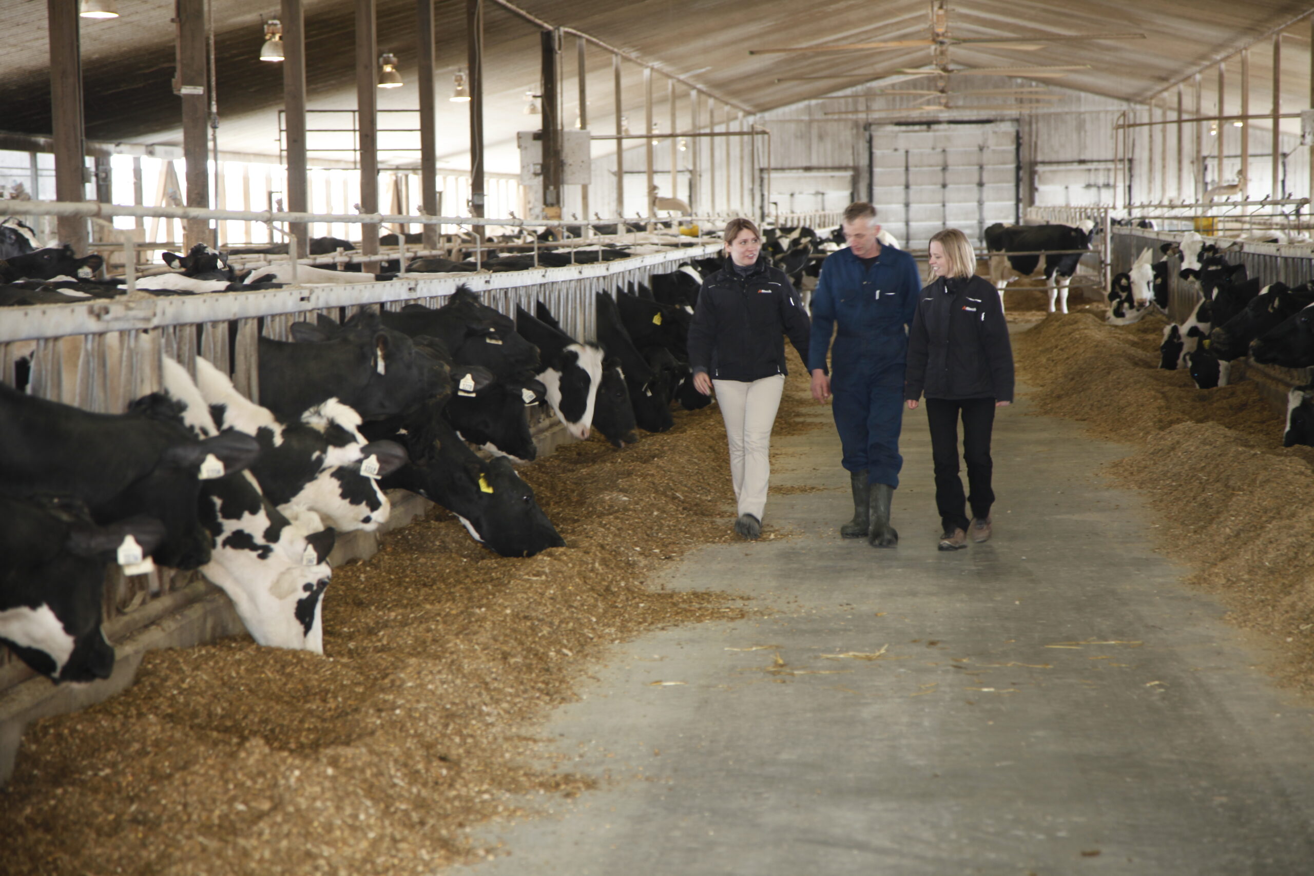 Pendora Dairy Farm Ontario Canada 021 1 scaled