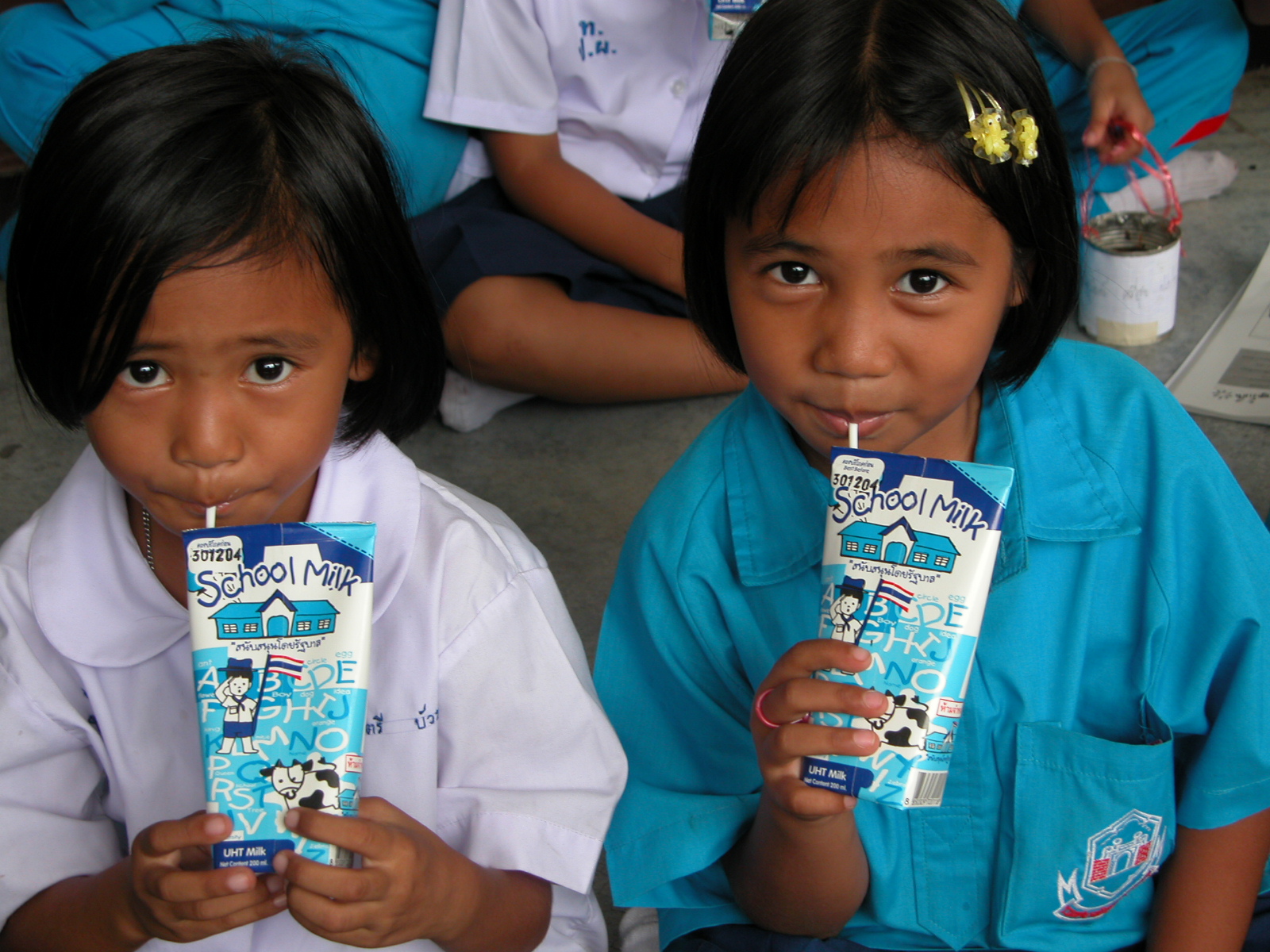 Thailand Milk Consumption 2012