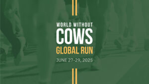 Global Run 1920x1080F