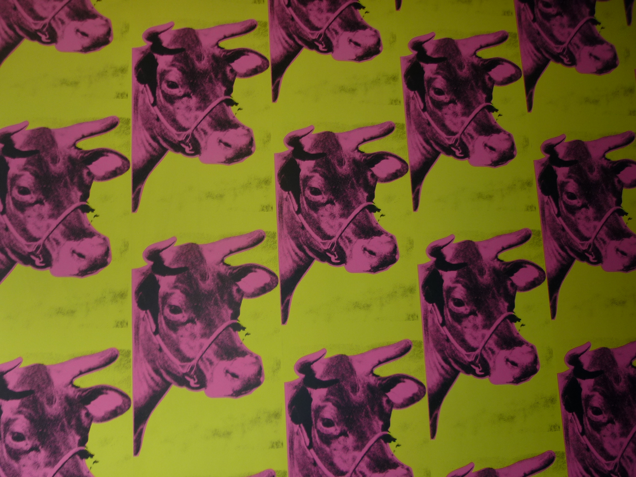 Andy Warhol Museum hallway wall