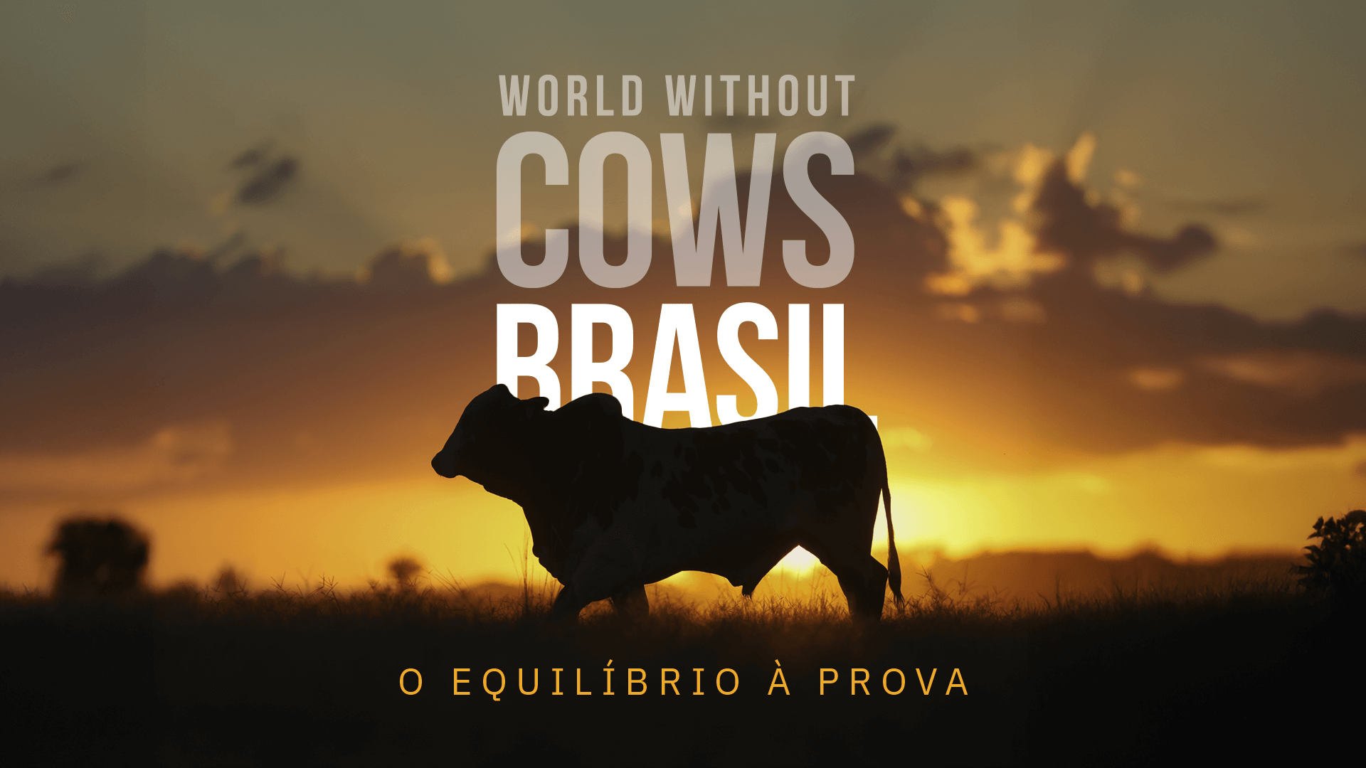 World Without Cows Brasil: O Equilíbrio À Prova