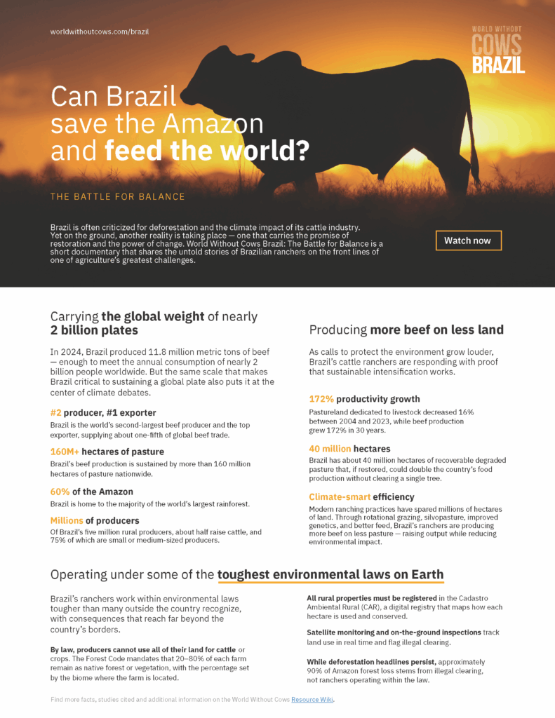 WWC Brazil Fact Sheet Sept 2025 v2