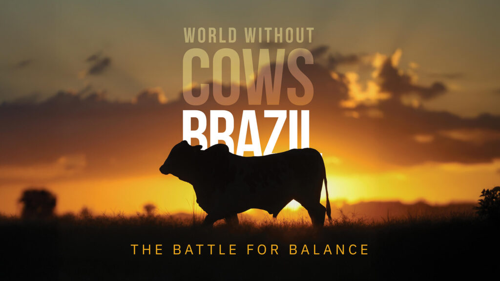 World Without Cows: Brazil