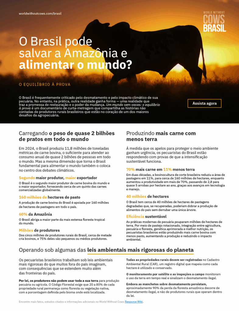 World Without Cows - Brasil - Factsheet