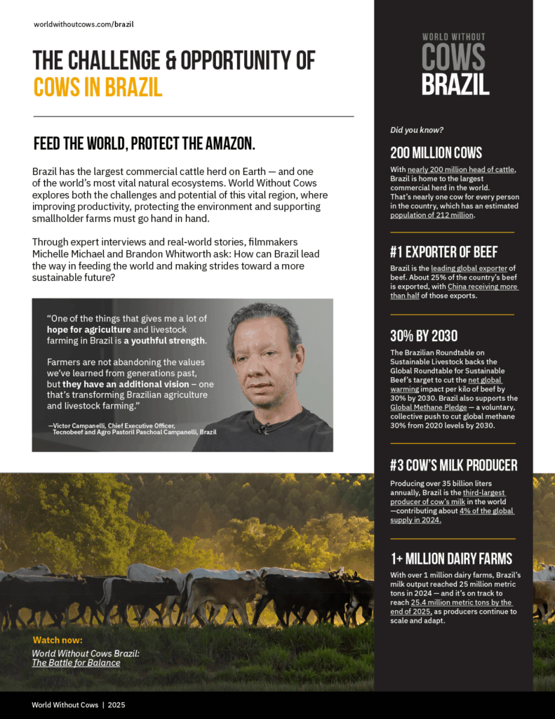 World Without Cows - The Challenge and Opportunities of Cows in Brazil