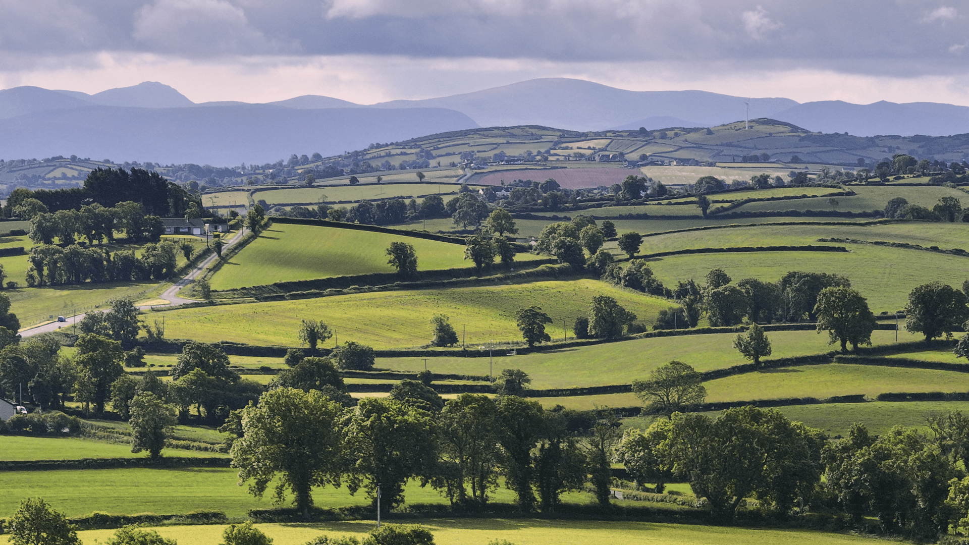 World Without Cows Ireland Aerial 6
